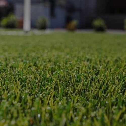 Close-up of Artificial Lawn Turf